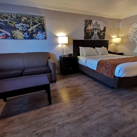 Journey Inn-3