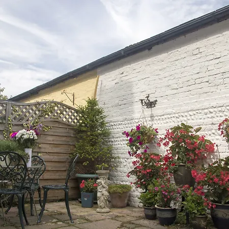 Albert & Victoria Guest House-3