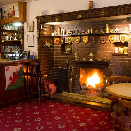George Borrow Hotel-3