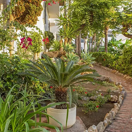 Royal Oasis Club At Pueblo Quinta-2