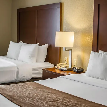 Comfort Suites San Antonio Seaworld - Lackland Afb-3