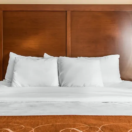 Comfort Suites Wixom - Novi-2