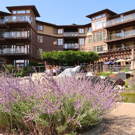 The Cove Lakeside Resort-2