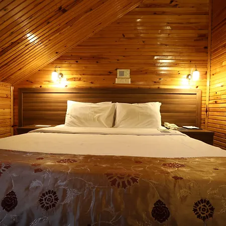Dedeman Palandoken Resort Hotel-3