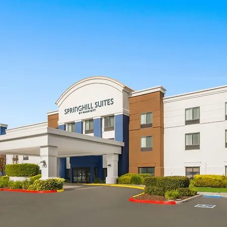 Springhill Suites By Marriott Modesto-3