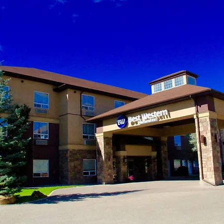 Best Western Diamond Inn-3