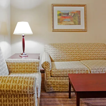 Holiday Inn Express Hotel & Suites Austell Powder Springs By Ihg-3