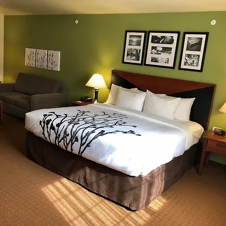 Sleep Inn & Suites Shamrock-2