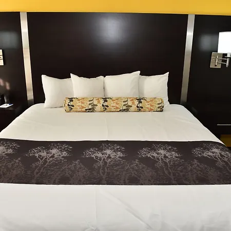 Best Western Plus Fairburn Atlanta Southwest-3