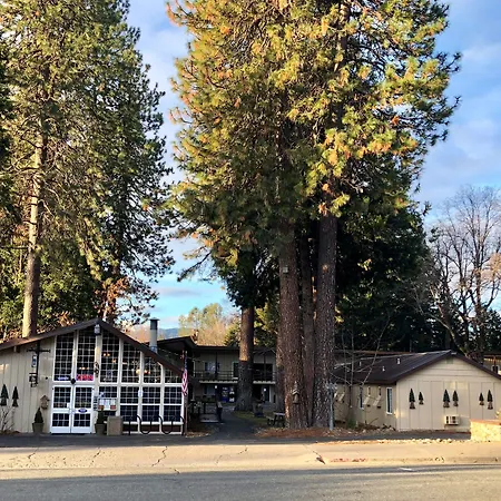 Shasta Inn-3