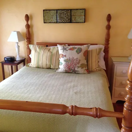 Mango Inn Bed And Breakfast-3