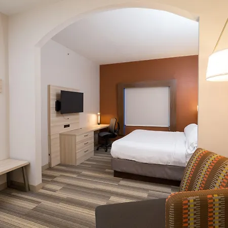 Holiday Inn Express Hotel & Suites Grand Blanc By Ihg-3