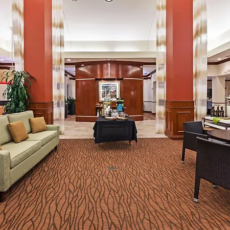 Hilton Garden Inn Corpus Christi-3
