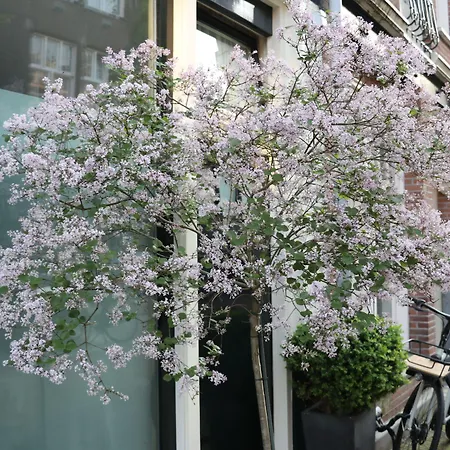 Adriaen Van Ostade B&B-2