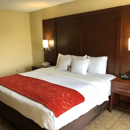 Comfort Suites Elkhart South-3