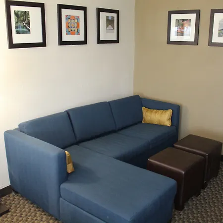 Comfort Inn & Suites Near Six Flags & Medical Center-2
