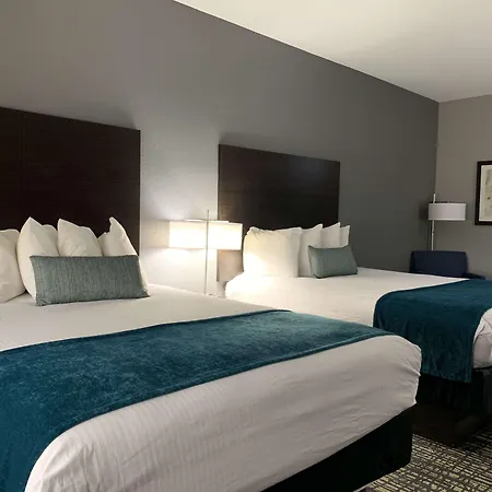 Best Western Plus Olive Branch Hotel & Suites-3