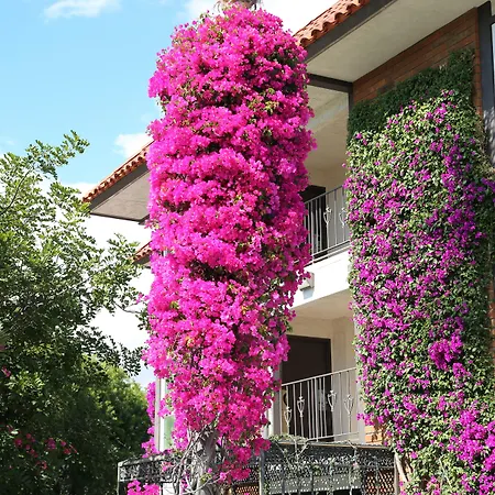 Laguna Hills Lodge-Irvine Spectrum-2