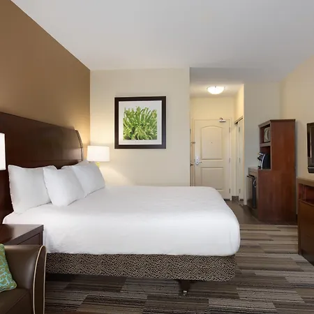 Hilton Garden Inn Abilene-3