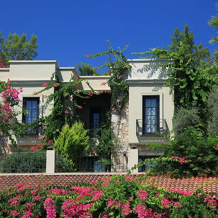 Zeytinada Hotel-3