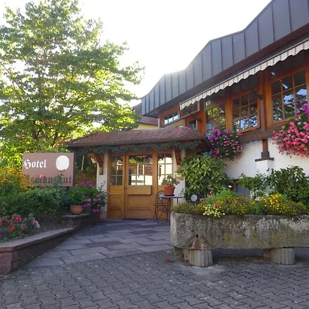 Hotel Altenberg-2