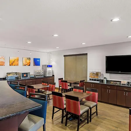 Comfort Suites Lindale - Tyler North-3