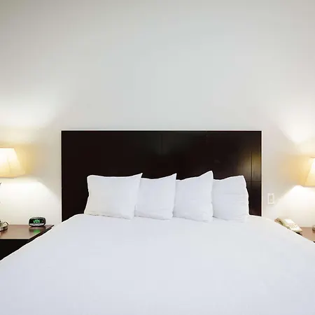 Best Western Sugarland Inn-3