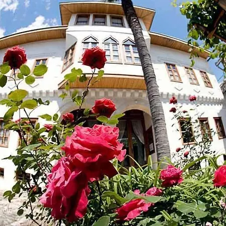 Bosnian National Monument Muslibegovic House-2