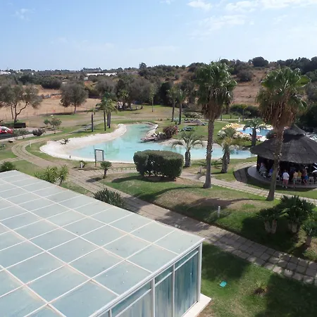 Yellow Alvor Garden-2