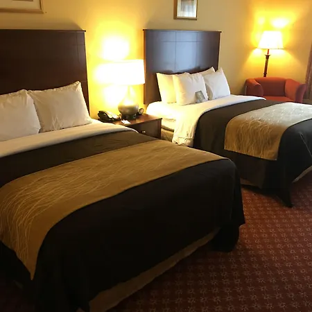 Comfort Inn Naugatuck-Shelton, Ct-3