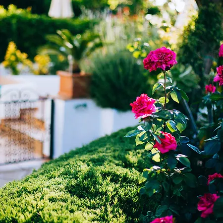 Il Giardino Dell'Arte-3