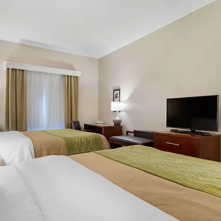 Comfort Inn & Suites Port Arthur-Port Neches-3