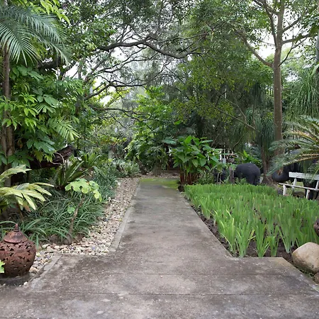 Eco Resort Chiang Mai-3