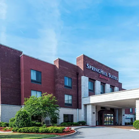 Springhill Suites Statesboro University Area-3