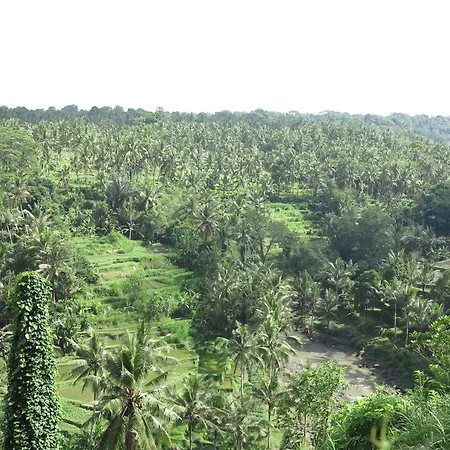 Taman Bebek Bali-3