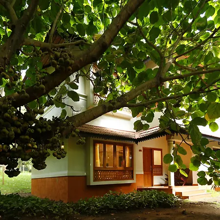 Greenwoods Thekkady - A Five Star Classified Resort-3