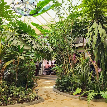 Hotel Jardines del Centro-2