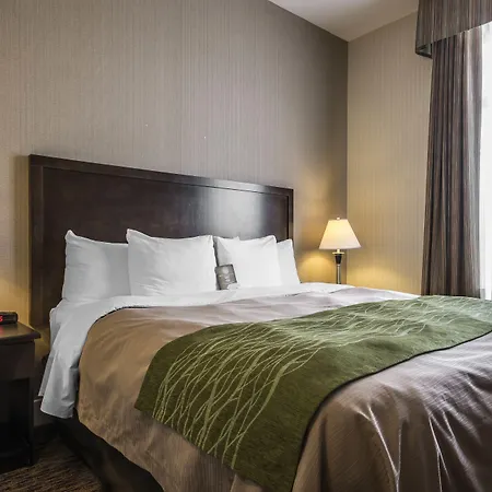 Comfort Inn & Suites Surrey-2