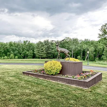 Roosevelt Inn & Suites Saratoga Springs-2