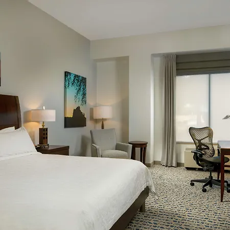 Hilton Garden Inn Phoenix Airport North-2