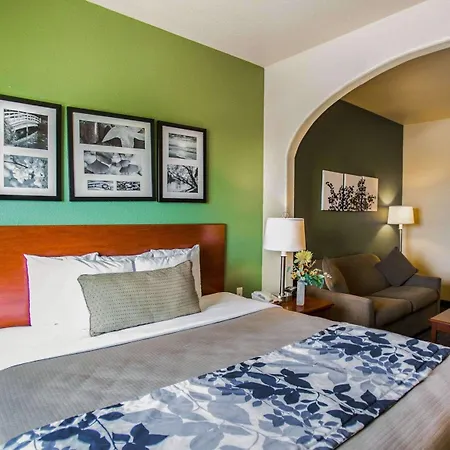 Sleep Inn & Suites Gonzales Near Palmetto State Park-2