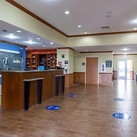 Hampton Inn Alice-2