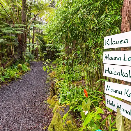 Volcano Village Lodge-3
