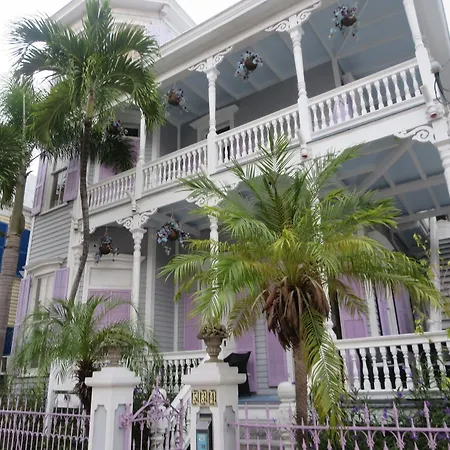 The Artist House-3