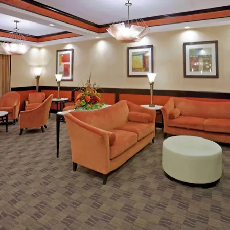 Comfort Inn & Suites Dallas Medical-Market Center-2