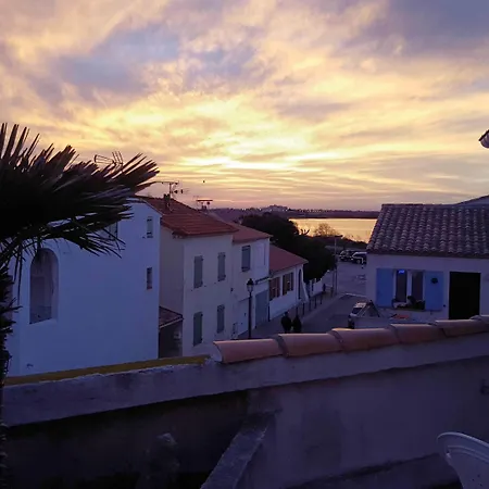 Hotel Les Palmiers En Camargue-3