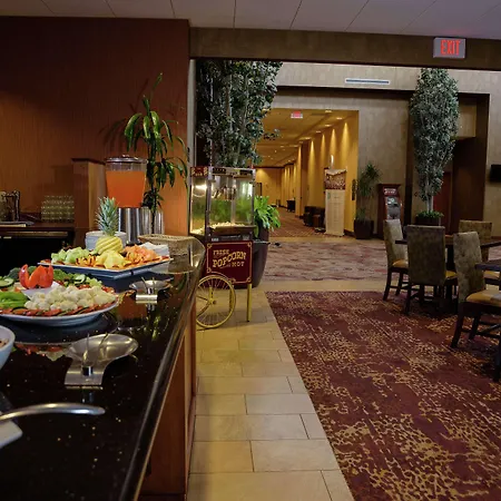 Embassy Suites By Hilton Minneapolis North-2