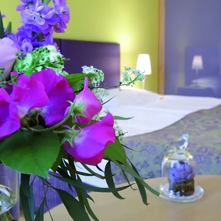 Appartement-Hotel An Der Riemergasse-2