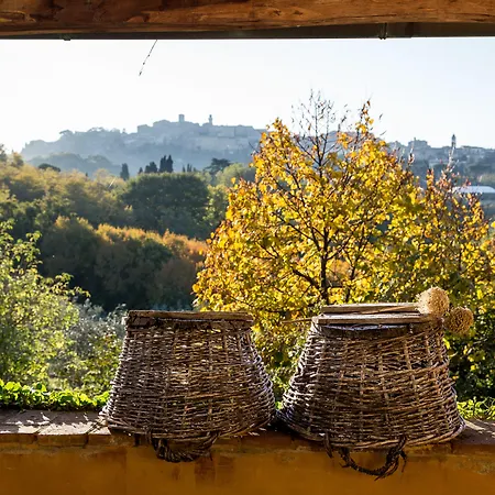 Fattoria San Martino-2