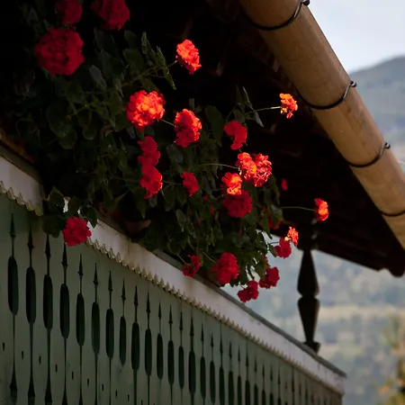 Hotel Gasthof Mitteregger -Best Place In Town With Summercard And Breakfast-3